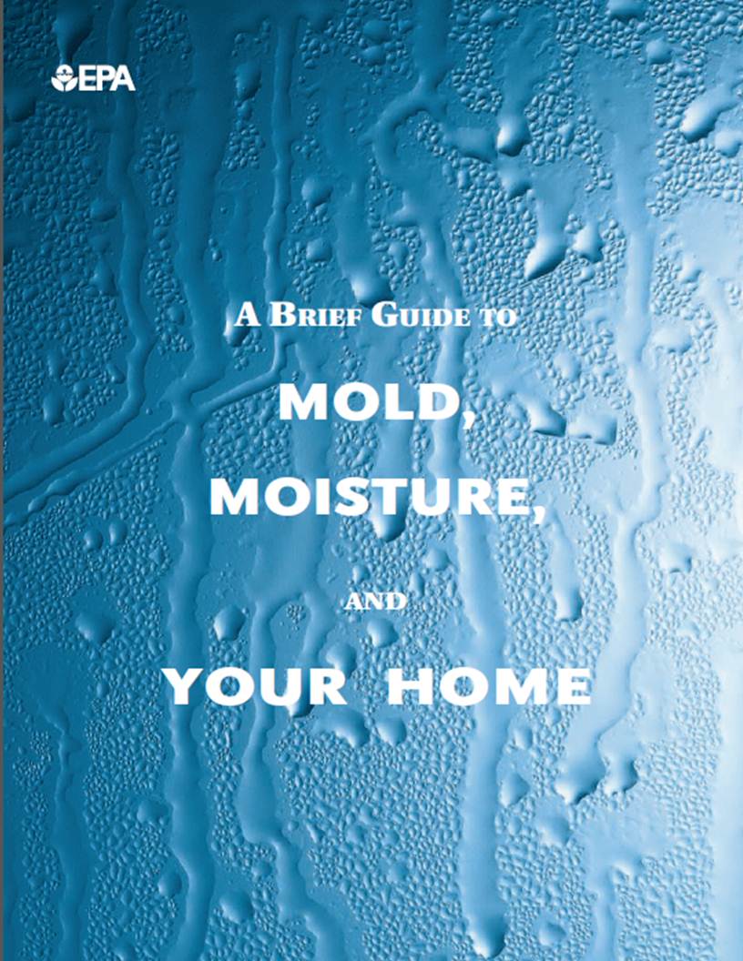 Mold Moisture in the Home
